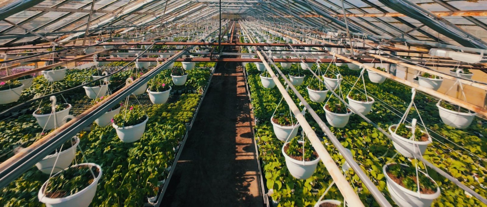 Anchers Havecenter - Ejenproduktion